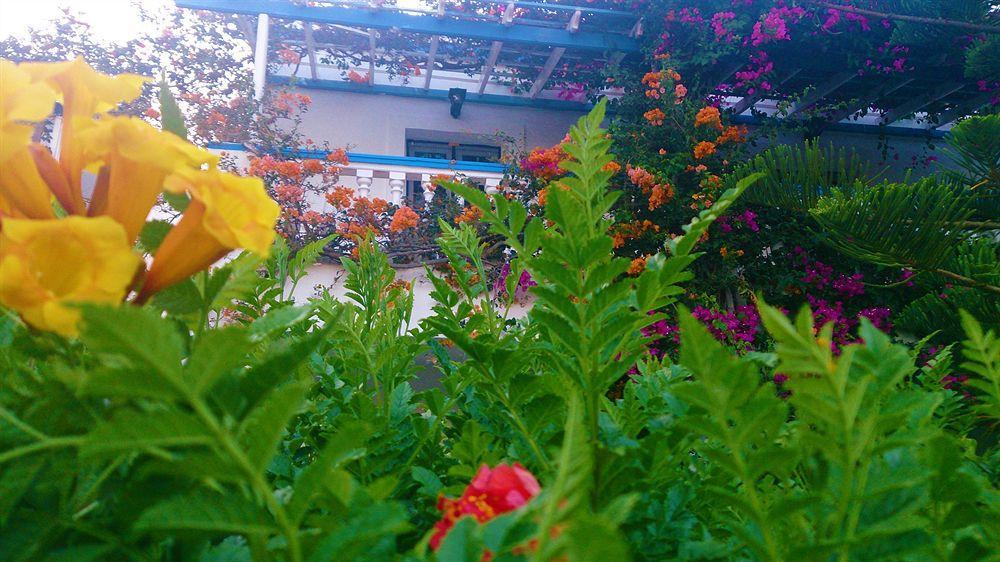 Aparthotel Angelika Alinda  Esterno foto